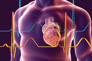 Cardiology