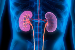 Nephrology